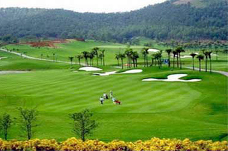 cualo-golf