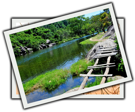 phuyen-tinh-yeu-bat-dau